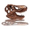 Jurassic Park Scaled Prop replika T-Rex Skull 10 cm