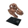 Jurassic Park Scaled Prop replika T-Rex Skull 10 cm