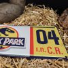 Jurassic Park 1/1 Dennis Nedry License Plate replika