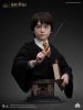 Harry Potter Mellszobor 1/1 Harry 76 cm